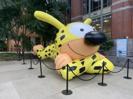 Marsupilami